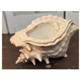 Atlantic Mold Conch Shell Self Watering Pot