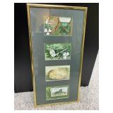 Vintage Irish postcards (4) professionally