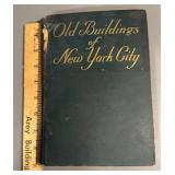 Book - 1907 old buildings of New York City