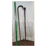 2 Walking Sticks / Canes - 1 Gnarly That
