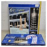 Outdoor Christmas lights