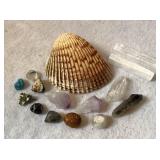 Large shell, crystal gemstones, selenite sticks