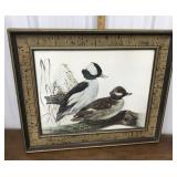 Signed, framed duck print