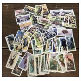 Coffee/tea cards- animals, dinosaurs