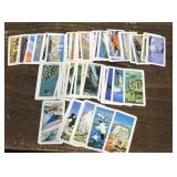 Coffee/tea cards- exploring the ocean,