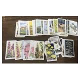 Cigarette, Coffee/Tea cards- wildlife in danger,