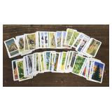 88 Coffee/tea Cards Wildlife In Danger & Trees Of