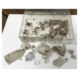 Herkimer diamonds- from Mohawk Valley Mineral