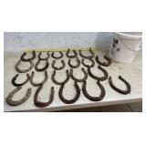 Bucket of Horseshoes