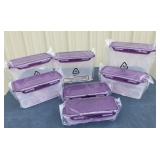 NewLock & Lock 7 piece storage set with purple