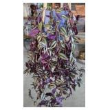 Hanging wandering jew plant