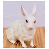 Vintage Lefton Bunny Figurine