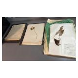 Vintage plant analysis Bradford County/Athens,