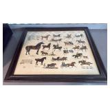 The Morgan  Horse Americaï¿½s First Breed 1789