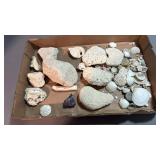 Various vintage coral/honeycomb/shells and more.