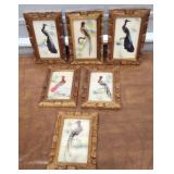 6 Painted Feather Birds