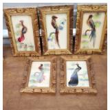 Hand painted feather birds