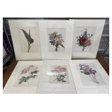 6 Botanical Prints