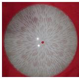 Mid Century Atomic Starburst Glass Ceiling Light