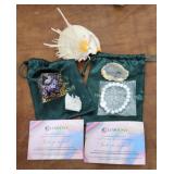 Spiney Oyster shell, quartz cluster, crystal