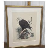 Roger Tory Peterson, 1974- Eagle print