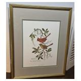 Pencil signed Anne Worsham Richardson 'Cardinal