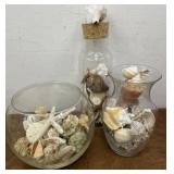Can you hear the waves? Great assortment of sea
