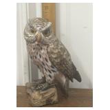 Painted owl perched on wood *tiny chips