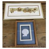 2 Seashells pictures