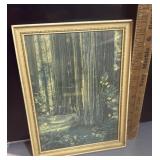 Vintage framed print California redwood forest