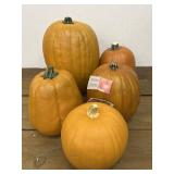 Pumpkin patch of artificial pumpkins.