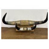 Vintage bull horns (?) mounted. Cool wall hanger.