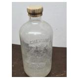 Chemung spring water Indian heavily embossed