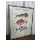 Pencil signed, numbered fish art