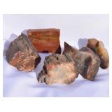 Rainbow Petrified Wood from Arizona