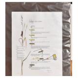 Vintage Lt Ed Signed Fly Fishing Matted Picture.