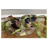 2 little cactus plants. Christmas- Easter-