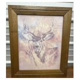 Vintage Framed Buck print.