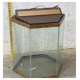 Hexagonal Glass Aquarium- Needs Bulb