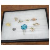 Showcase of brooches etc- case included