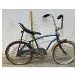 Banana Seat Bike