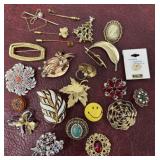 Brooches and stick pins