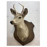 4 Point Buck Mount