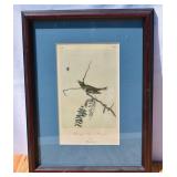 Antique Framed Red Eyed Vireo/Plate 243