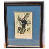 Antique Framed Woodpecker Hand Colored Litho