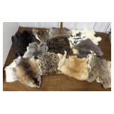 Assorted animal pelts- nicely tanned, soft