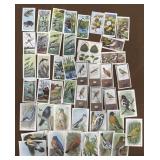 Cigarette cards - Useful birds of America,
