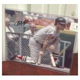 8x10 signed photo Carl Yastrzemski
