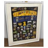 Lions Club pins- framed