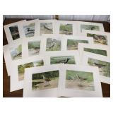 J.L. Ridgway Audubon prints